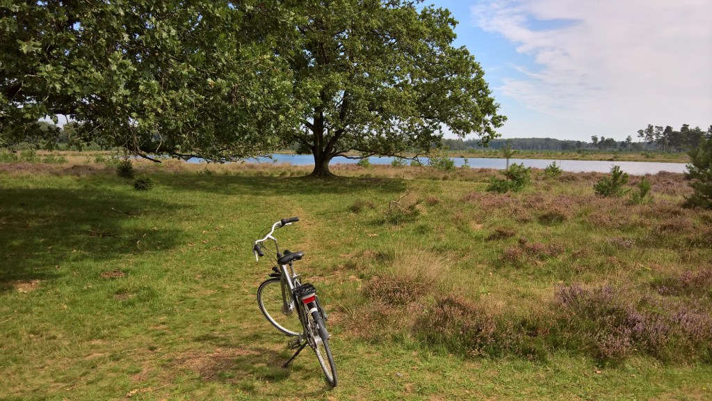 Bicycle standing at the side of the road in Drenthe, Netherlands.