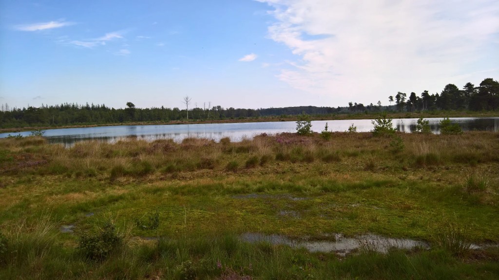 Open area with water in Drenthe, Netherlands.