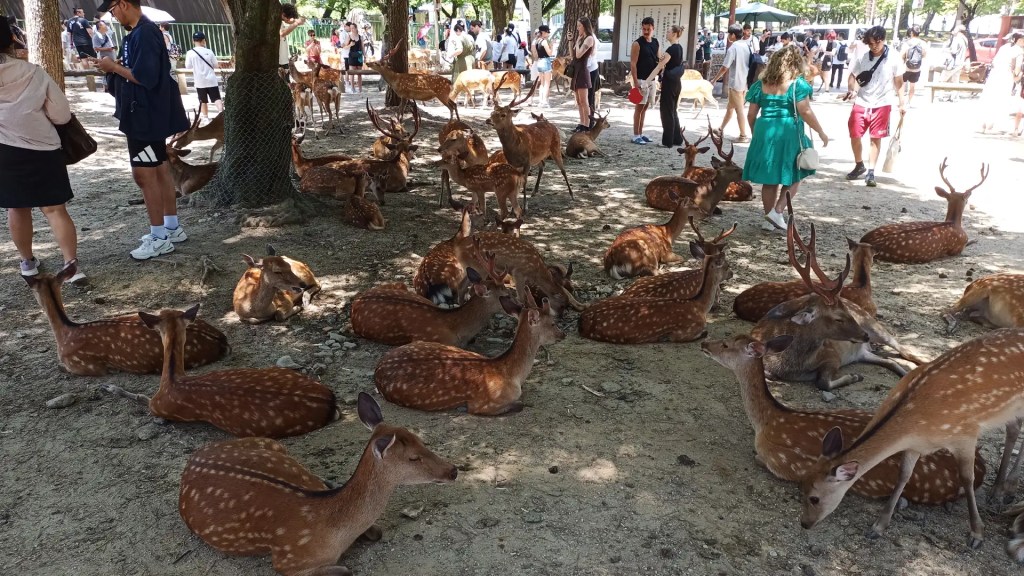 My Experience with Vacation and World&nbsp;Troubles