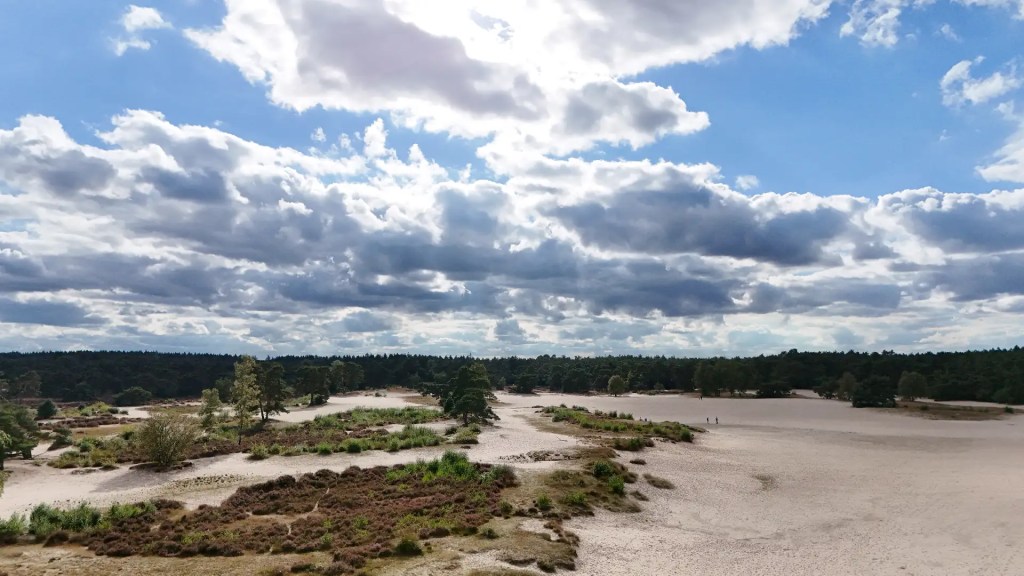 Drone footage of the Lange Duinen in Soest. A wide open sand plain with a forest surrounding it.