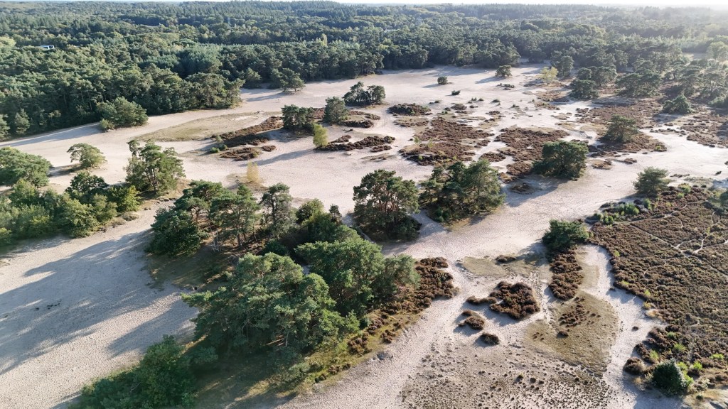 Drone footage of the Lange Duinen in Soest. A wide open sand plain with a forest surrounding it.