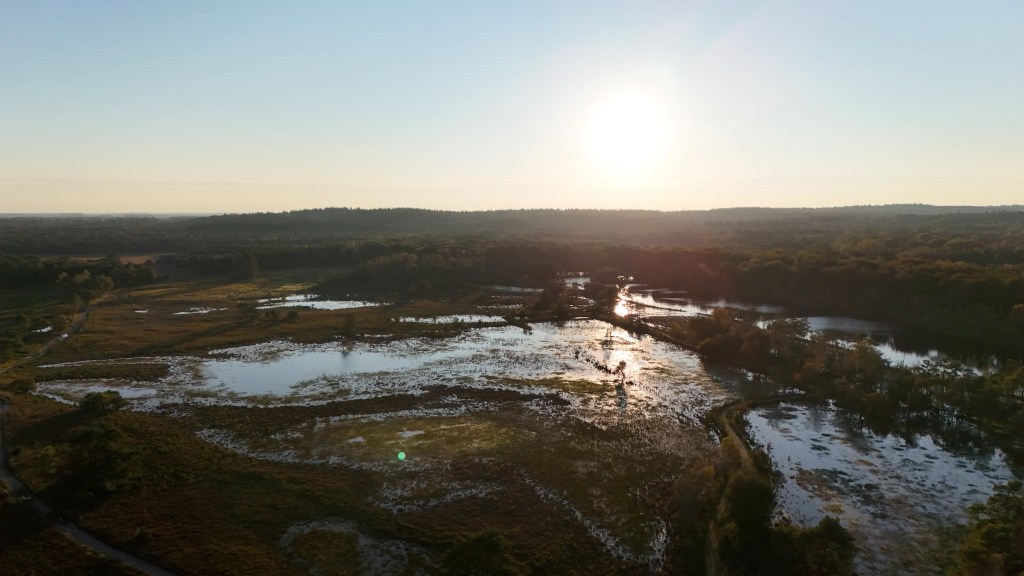 Drone footage of a watery area in the Utrechtse Heuvelrug in the Netherlands. A golden glow of the setting sun can be seen.