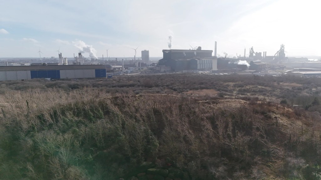 A steel factory can be seen in the background. No leaves on the trees because of winter.